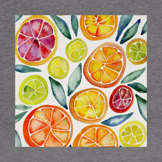 Citrus Slices by CatCoq